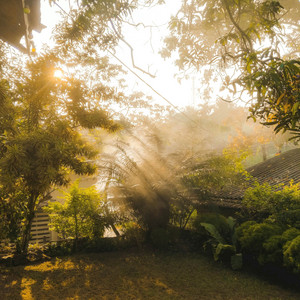 good morning by Pierson Booth, softy