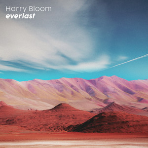 everlast by Harry Bloom