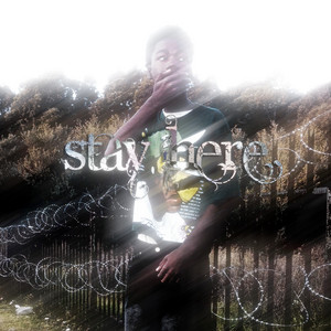 stay here