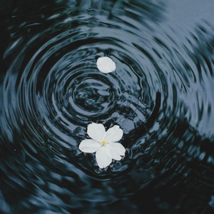Purify by Emptiness