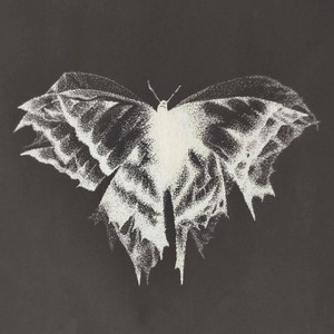 Broken Wings by Ex Nihilo