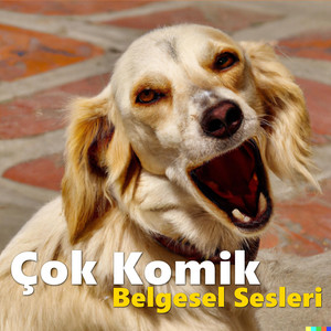 Azad Medya - Çakalus (Komik Belgesel Sesi)