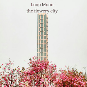 the flowery city by Loop Moon