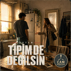 Tipim de değilsin by Cam Damacana
