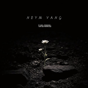 NEYM VANG - LUB HNUB