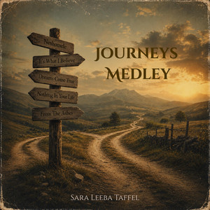 Journeys Medley - Violin Instrumental by Sara Leeba Caplan