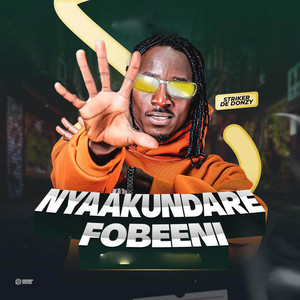 Striker De Donzy - Nyaakundare FoBeeNi