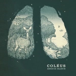 Coleus - Original Mix