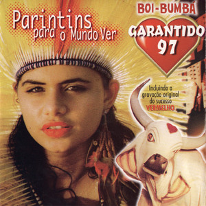 BOI BUMBÁ GARANTIDO - Vermelho