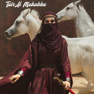 Noor Allah Hadina by Mohamed El Aamri