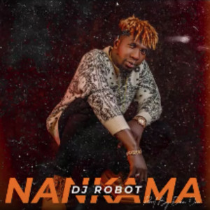 DJ Robot - Nankama