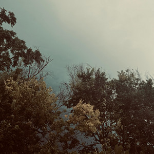 Lowland, Two by zakè