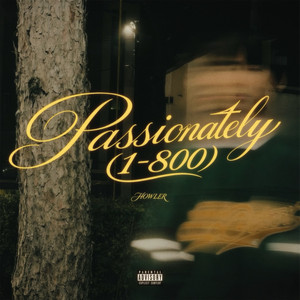 Passionately (1-800) by HOWLER