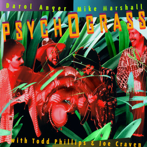Psychograss cover