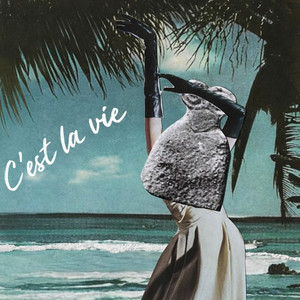 FUNKINBIZ — C'est la vie