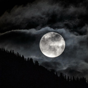 STRAIGHT TO THE MOON