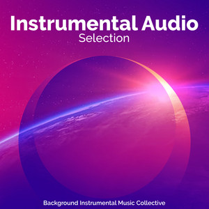 ALBUM Instrumental Selection INUWASI 邦楽