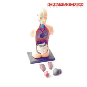 Brainhack Musicbox — Screaming Organ