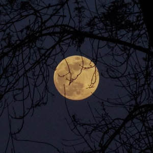 Harvest Moon by Dreamlapse Dimensions