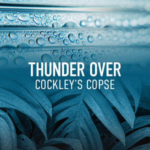 Thunder Over Cockley's Copse album