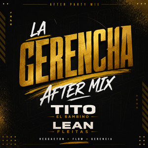 LA GERENCIA AFTER MIX LEAN FLEITAS