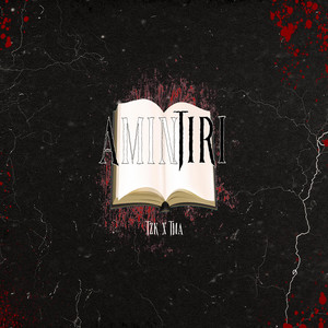 AMINTIRI (feat. TMA)