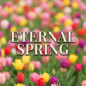 Eternal Spring by IM CHANTI