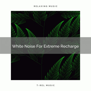 White Noise For Extreme Recharge album