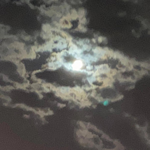 Bando12800 - Personal