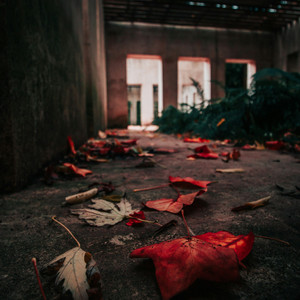 One Spark by Vandal Theory