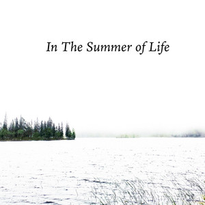 In The Summer Of Life by Robert Anton Strobel