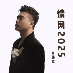 情网2025 - DJ默涵情绪版 by 崔伟立