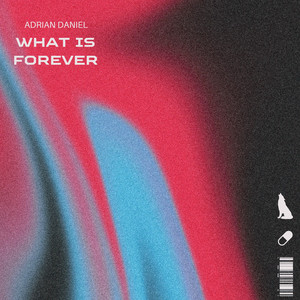 What Is Forever by Adrian Daniel