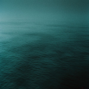 Constant (Forest) by Roen