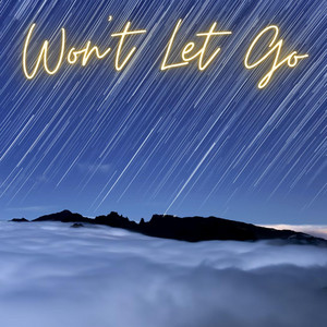 Won't Let Go by Perry Hans