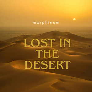 Lost In The Desert