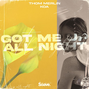 Got Me Up All Night by Thom Merlin, Koa