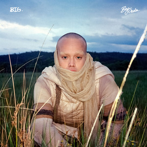 BIG - undefined | Song Album Cover Artwork