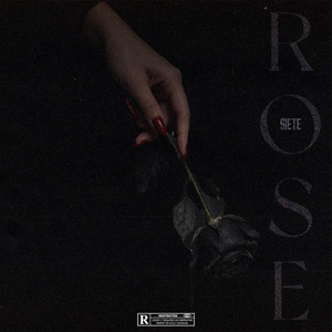 Rose by SIETE