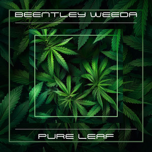Pure Leaf by Bentley Weeda