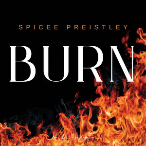 Burn by Spicee Preistley