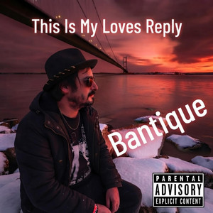 The Vampire Went Down To Spiders - Radio Edit by Bantique