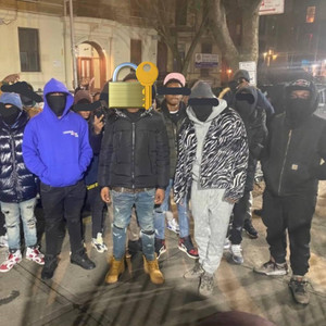 Bliss Finesse - Free Scottie