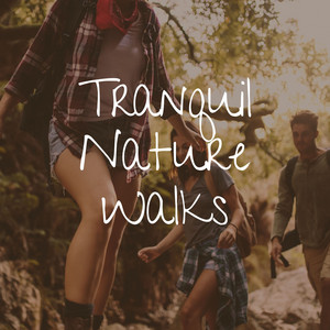 Tranquil Nature Walks album
