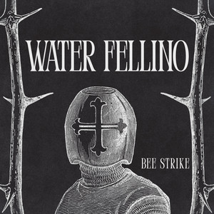 Water Fellino by Bee strike