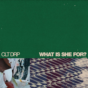 WHAT IS SHE FOR? by CLT DRP