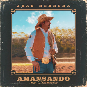 Amansando Un Cimarrón by Juan Herrera