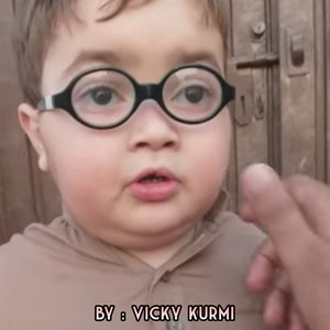 Vicky Kurmi - Piche Dekho Re