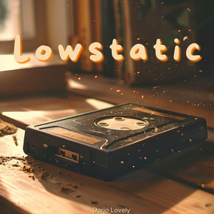 Lowstatic by Monique Debois