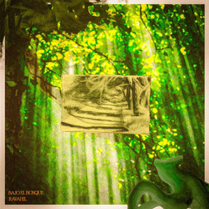 Bajo el Bosque